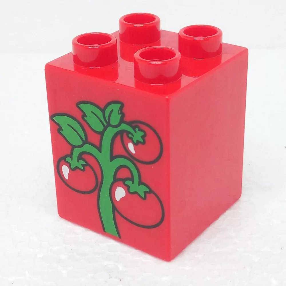 Lego® Duplo® Kostka 2x2x2 potisk rajčata
