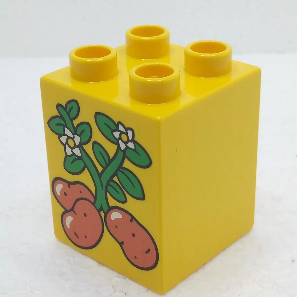 Lego® Duplo® Kostka 2x2 potisk brambory