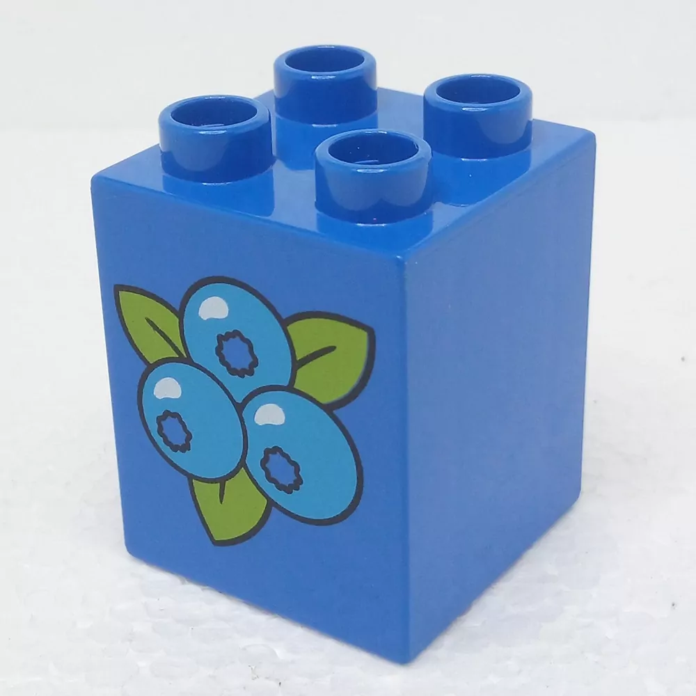 Lego® Duplo® Kostka 2x2x2 potisk borůvky