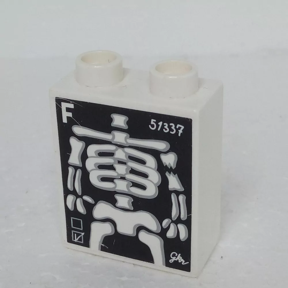 Lego® Duplo® Kostka 1x2x2 potisk rentgen kostra
