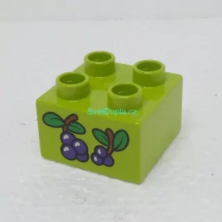 Lego® Duplo® Kostka 2x2 potisk bobule fialové